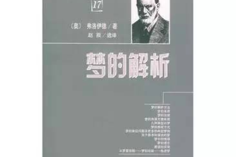 梦境解析，探索潜意识中的奥秘——求知道的人帮我解解梦谢谢