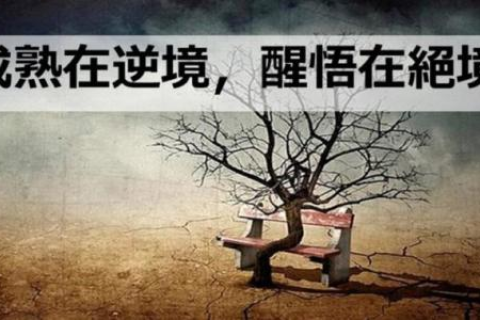 梦境中的旧情，解析为何梦中仍见暗恋之人