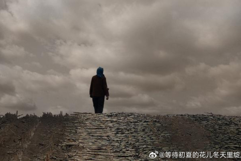 梦见母亲催自己干活，解读梦境背后的深层含义与心理启示