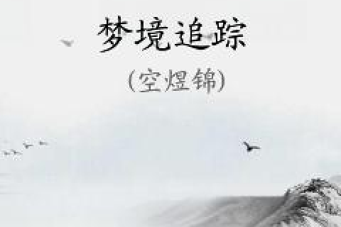 梦境追踪，无法摆脱的深情跟随
