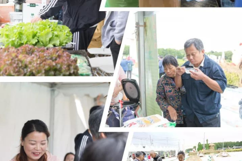 梦见刚去世的人，梦境与现实交织的预兆