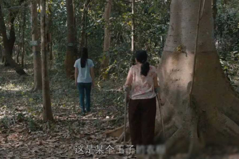 梦见扫墓，探寻梦境中的缅怀与心灵净化之旅