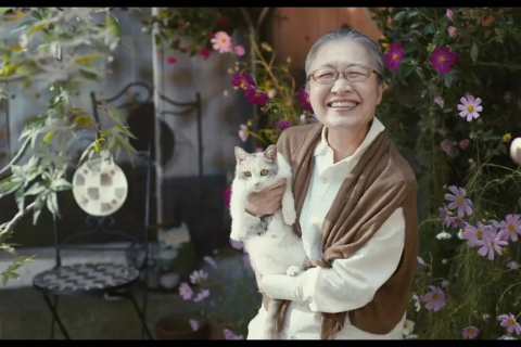 梦见抱着死去的妈妈哭，心灵的慰藉与未竟的哀思