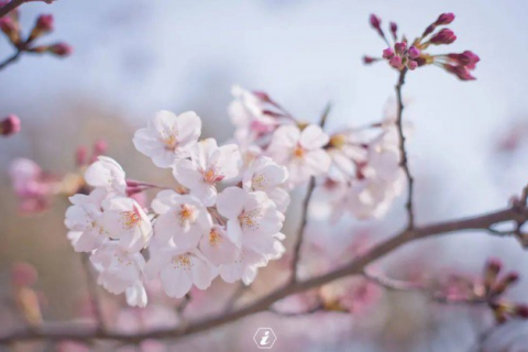 解析梦境，前男友的决绝短信，是内心的警示还是情感的余波？