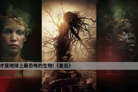 梦境的迷雾，探索未知父系的怀孕之梦与内心的挣扎