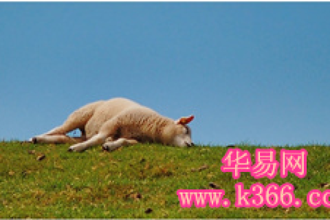 解梦梦见羊，探寻梦境中的神秘象征