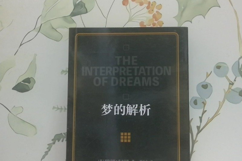 梦境解析，探寻潜意识深处的秘密——求大师解梦谢谢