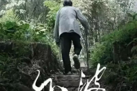 梦境交织，姥姥的生死轮回与心灵深处的呼唤