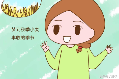 梦见别人生儿子，探寻胎梦背后的深层含义