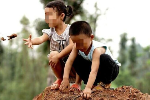 梦境中的悲恸，无妹之我，梦见妹妹的逝去