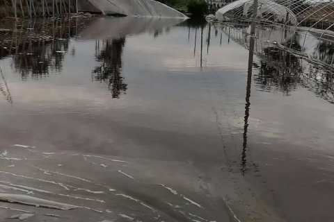 梦见老婆淌洪水过河，情感与命运的交织
