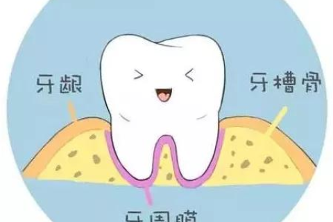 梦境解析，梦到牙碎了有人给沾上了的深层含义