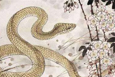 梦境解析，蛇缠身之梦的含义与心理暗示