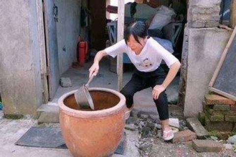 梦见水缸生蛆溢出满屋地，解读梦境中的警示与启示