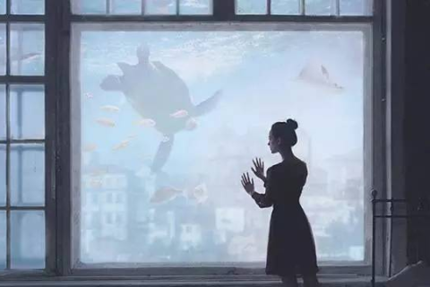 梦见被子，梦境背后的深层含义与心理解析