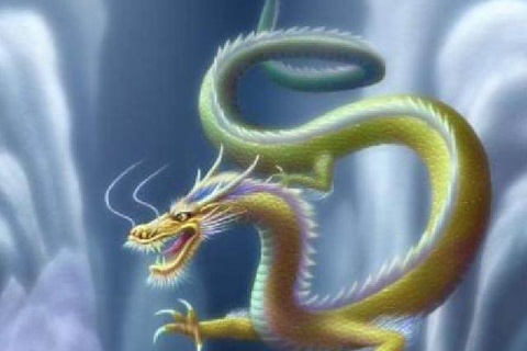 女的做梦梦到两条龙，预示未来与内心的双重力量
