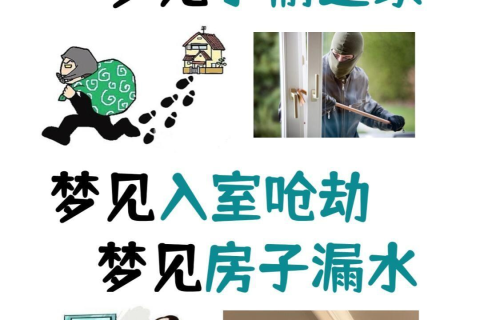 梦境中的警觉，家中无恙，小偷遁形