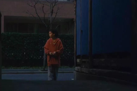 梦境中的失落与启示，梦见我妈的衣服被人偷了