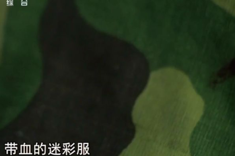 梦见满地的蛆，深层心理暗示与梦境解析