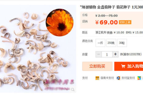 梦境中的珍贵发现，拾得戒指与共享之谊的深层解读