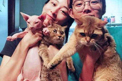 探索梦境的奥秘，忽然梦到和同性接吻的深层含义