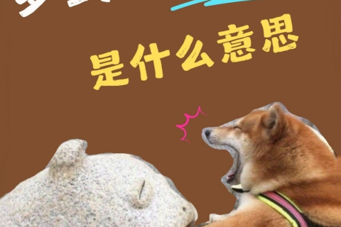 解读梦境，梦到狗咬自己意味着什么？