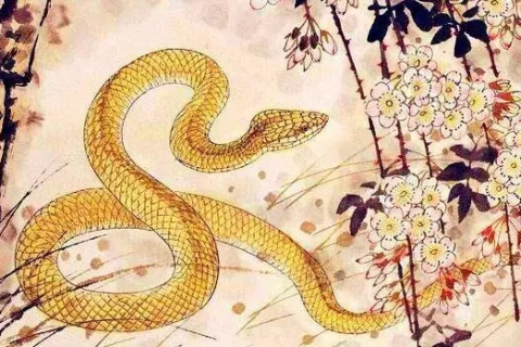 梦境解析，连续两晚梦见同一条蛇并被咬，意味着什么？