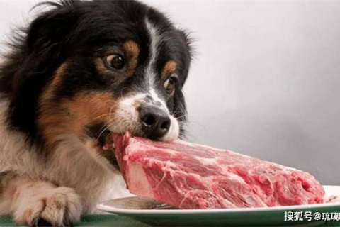 梦境中的慷慨，女人梦见熟肉块未食而赠予小动物
