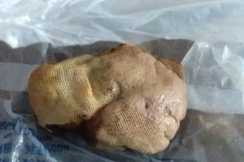 梦见流产，孕妇梦境中的深层含义与解析