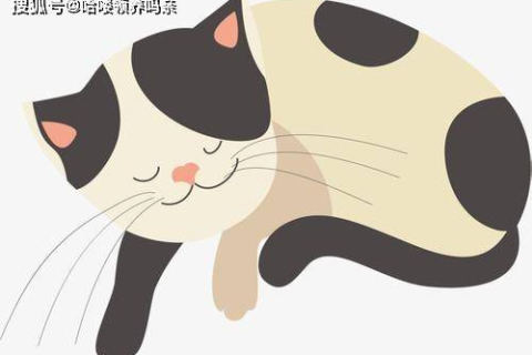 梦见自己变成猫，探索梦境中的自我与潜意识