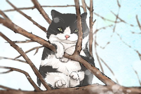 女人梦见三只猫，梦境背后的深层含义与解析