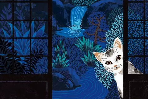 梦境解析，救猫未遂的惊魂夜