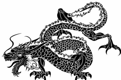 晚上梦到龙求解，探索梦境中的神秘符号与深层含义