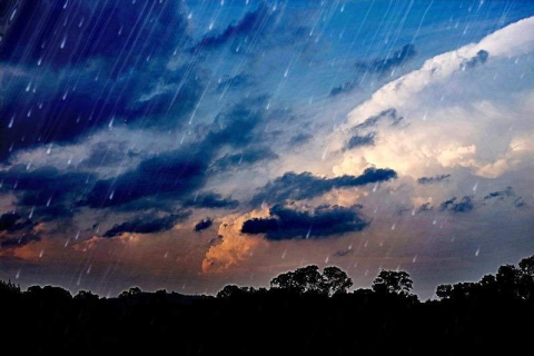 梦境中的温情——梦到下大雨，伞下的庇护与家庭纽带
