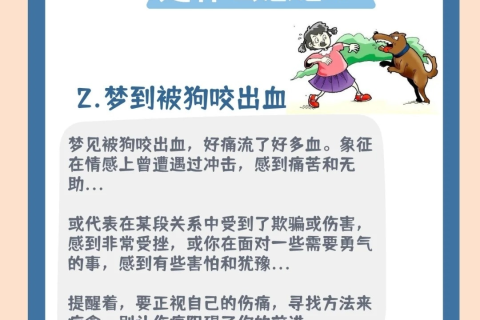 梦见被狗咬出血，梦境背后的深层预兆与心理解析