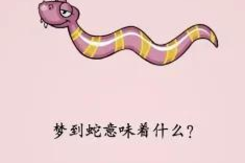 女生梦境中的蛇与过山峰，探索梦境背后的深层含义