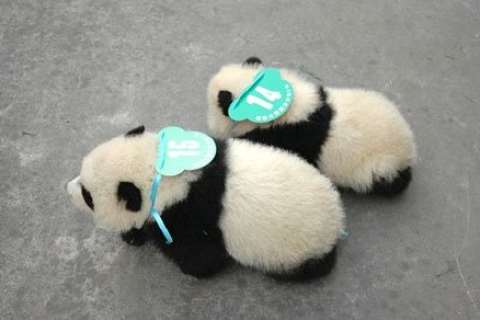 梦境中的警示，梦见地震，周围房屋倒塌，自家安然无恙——解读梦境背后的深层含义