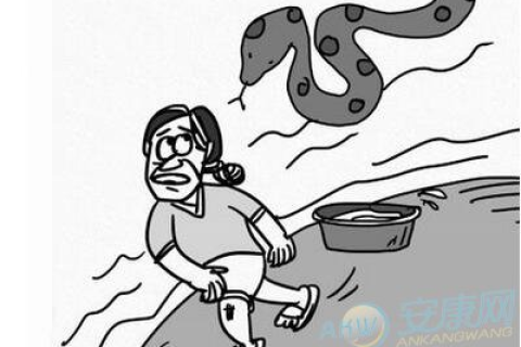 梦见被蛇咬，梦境背后的深层含义与心理解析