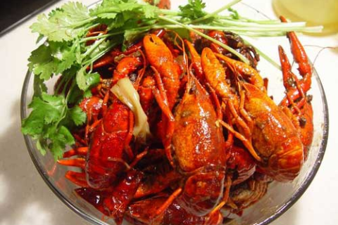 男人梦见龙虾，海洋深处的财富与情感预兆
