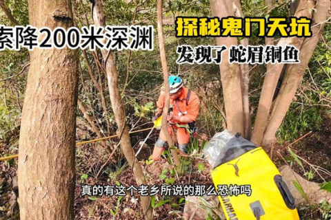 梦境解析，田里的死蛇与鳄鱼——探索潜意识深处的警示与启示