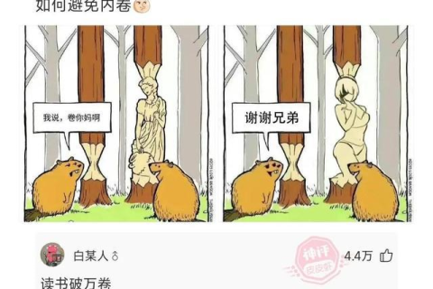 梦见被子从中间断开了，寓意解析与心理启示