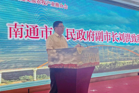 梦境中的邀约，解析做梦梦到喜欢的女孩让我去接她的深层含义