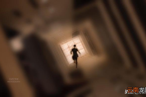 梦境中的警觉与遗忘，解析梦中取钱遇窃与追逐后的自我反思