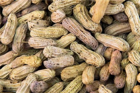 梦见自己吃花生，梦境背后的深意与预兆探析