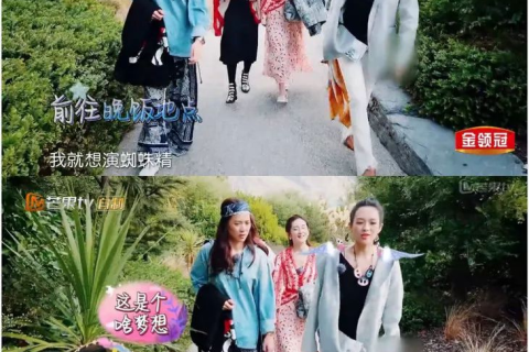 梦见有一堆蜘蛛，探索梦境背后的深层含义与心理解析