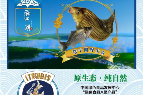 孕妇梦境中的丰收，捕捉两条巨大之鱼的寓意与解析