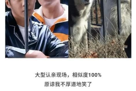 梦境的奇妙转折，为何梦见女友说不喜欢你了，反而感到开心？