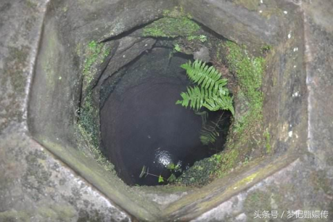梦见被猫咬与打死猫，梦境背后的深层含义与心理解析