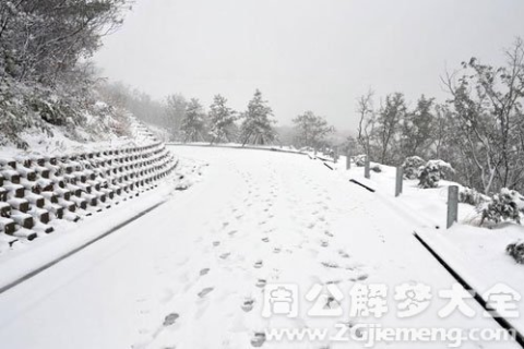夏天梦见下雪，寓意与解析