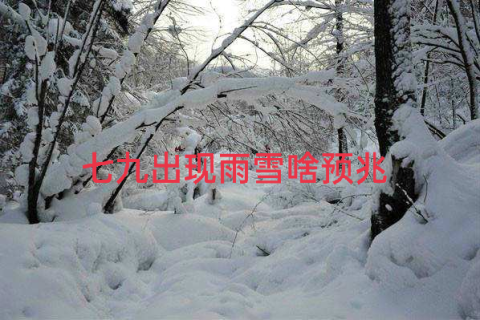 梦见下雪有什么预兆吗？请专家帮忙解梦